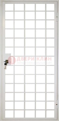 Белая металлическая решетчатая дверь ДР-2 в Сургуте
